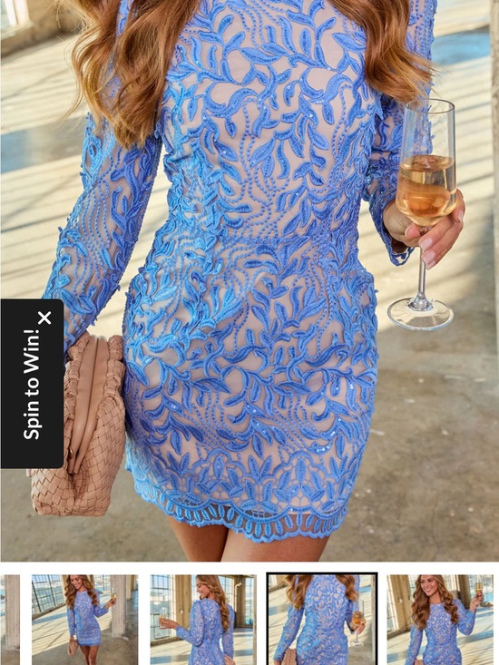 Vici Dresses & Skirts - Vici Blue Lace Mini Dress with Sheer Embroidery